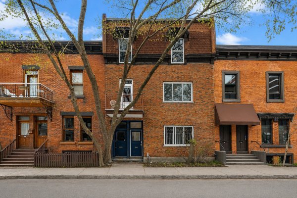 Voir la propriété 3635 - 3637 Rue Clark
